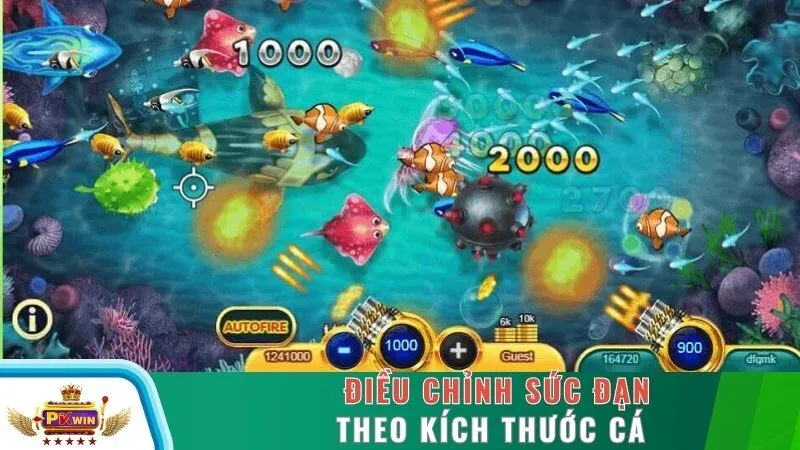 Điều chỉnh sức đạn theo kích thước cá