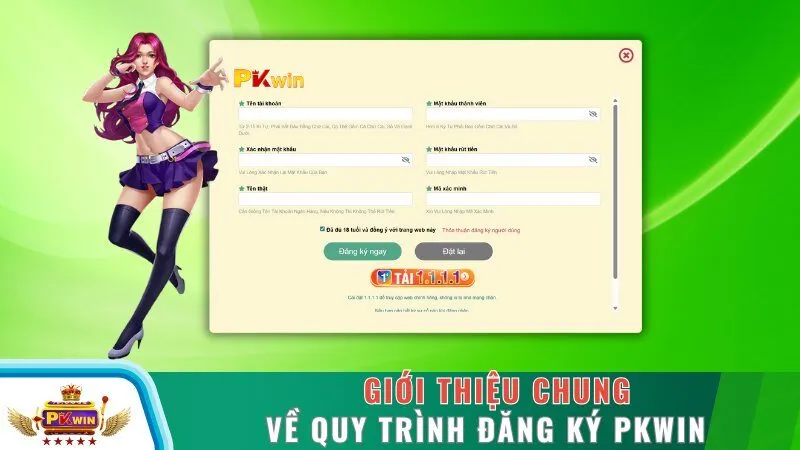 Giới thiệu chung về quy trình đăng ký PKWIN
