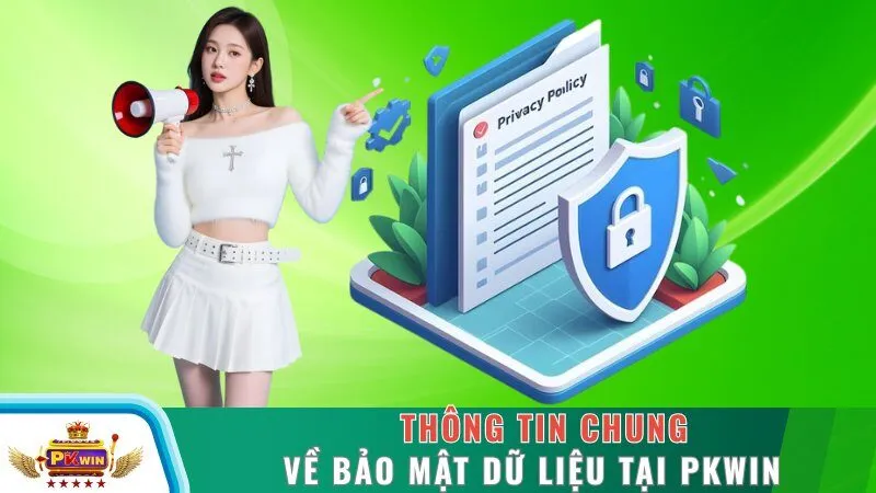 Thông tin chung về bảo mật dữ liệu tại PKWIN