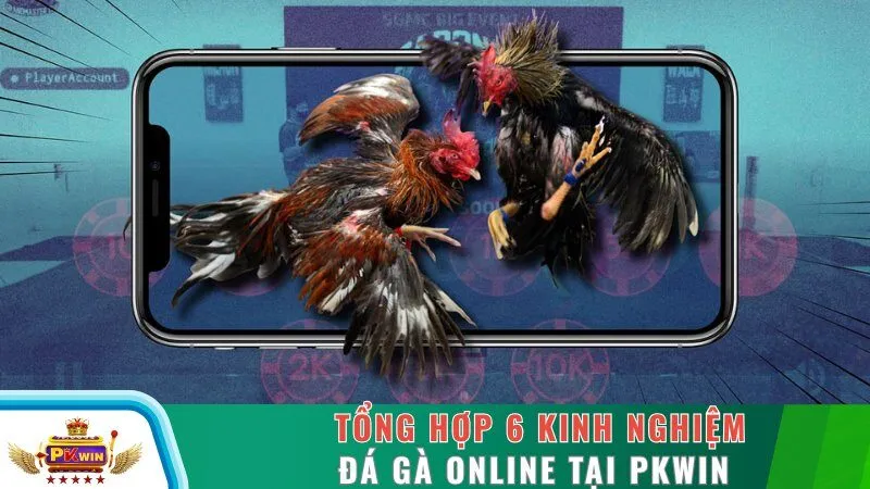 Tổng Hợp 6 Kinh Nghiệm Đá Gà Online Tại PKWIN