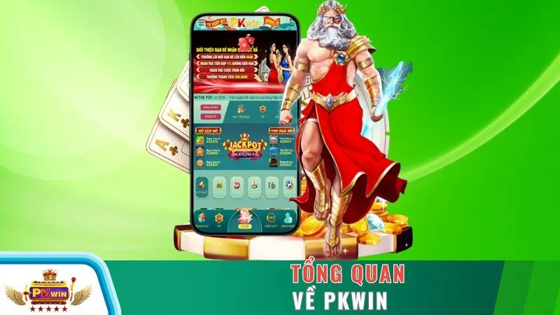 Tổng quan về PKWIN
